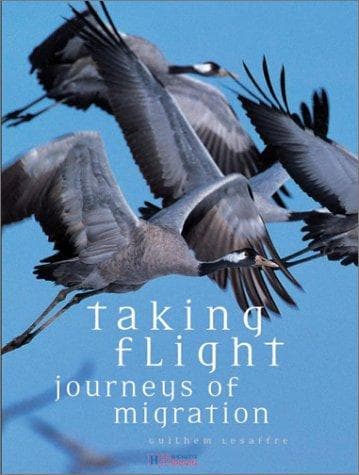 Tapa de Taking Flight