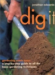 Tapa de Dig It