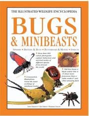 Tapa de Bugs and Minibeasts