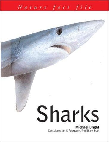Tapa de Sharks