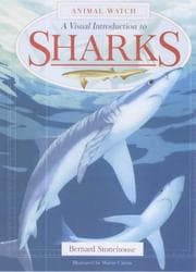 Tapa de Sharks