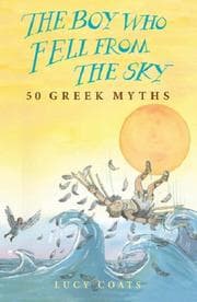 Tapa de The boy who fell from the sky
