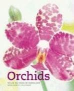 Tapa de Orchids
