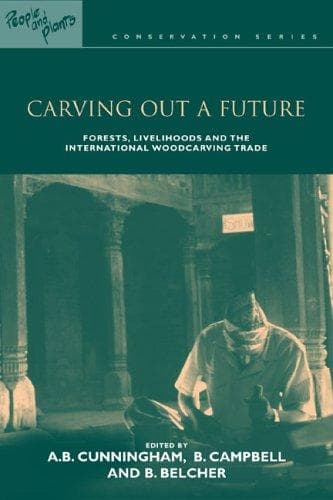 Tapa de Carving Out a Future