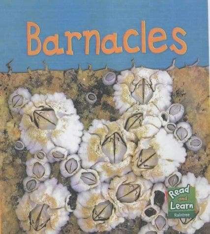 Tapa de Read and Learn
