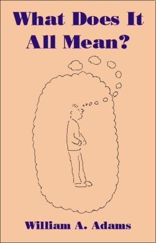 Tapa de What Does It All Mean?