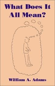Tapa de What Does It All Mean?
