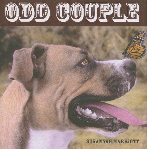 Tapa de Odd Couple