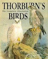 Tapa de Thorburn's birds