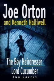 Tapa de The boy hairdresser