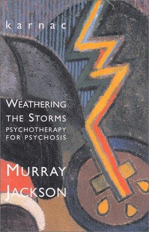 Tapa de Weathering the Storms