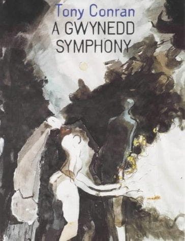 Tapa de A Gwynedd Symphony