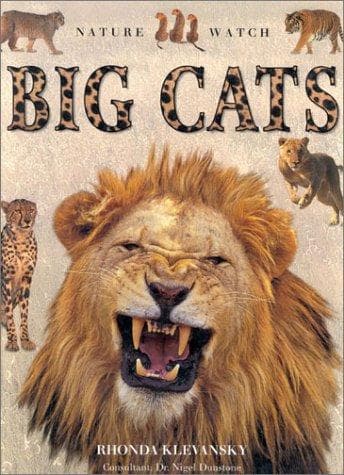 Tapa de Big Cats