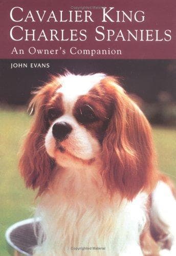 Tapa de Cavalier King Charles Spaniels
