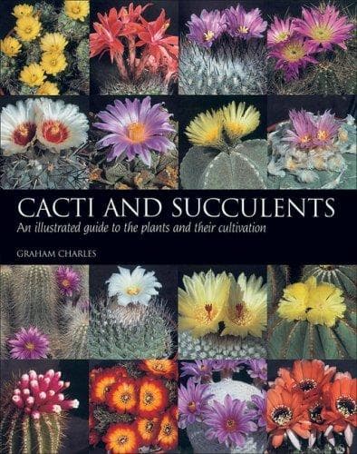 Tapa de Cacti and Succulents