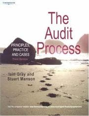 Tapa de The Audit Process