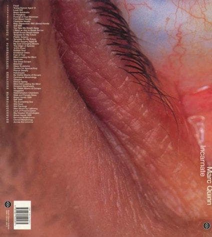 Tapa de INCARNATE