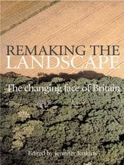 Tapa de Remaking the Landscape