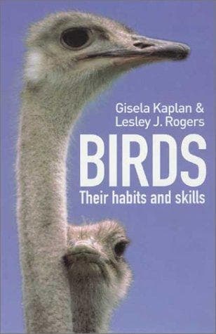 Tapa de Birds