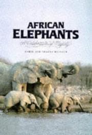 Tapa de African elephants