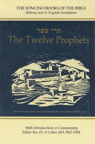 Tapa de The twelve prophets