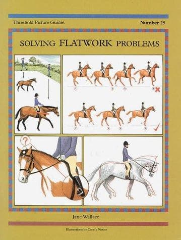 Tapa de Solving Flatwork Problems (Threshold Picture Guide)
