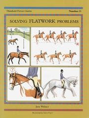 Tapa de Solving Flatwork Problems (Threshold Picture Guide)