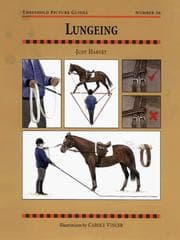 Tapa de Lungeing (Threshold Picture Guides)
