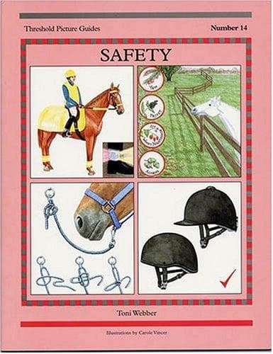 Tapa de Safety (Threshold Picture Guide)