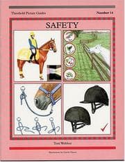 Tapa de Safety (Threshold Picture Guide)