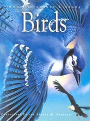 Tapa de Birds