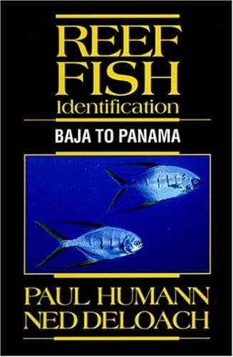 Tapa de Reef Fish Identification - Baja