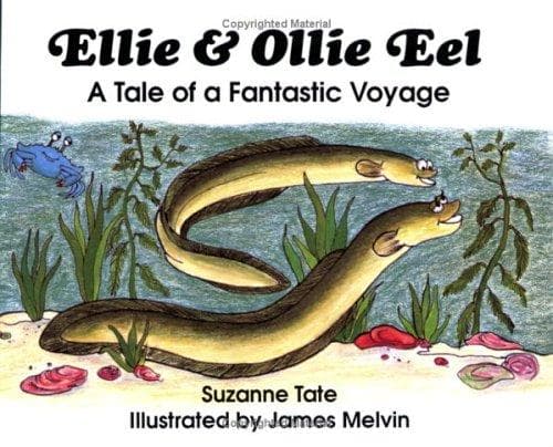 Tapa de Ellie & Ollie eel