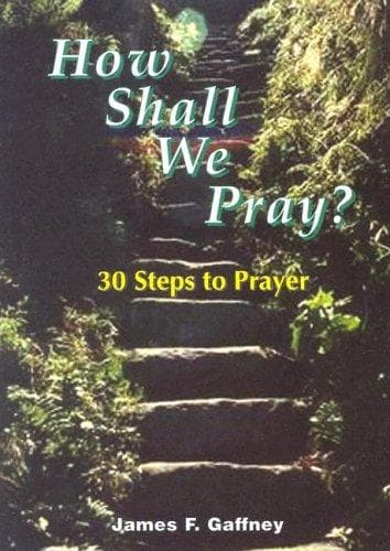 Tapa de How shall we pray?