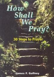 Tapa de How shall we pray?