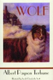 Tapa de Wolf