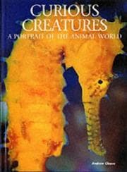 Tapa de Curious creatures