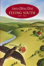 Tapa de Flying South