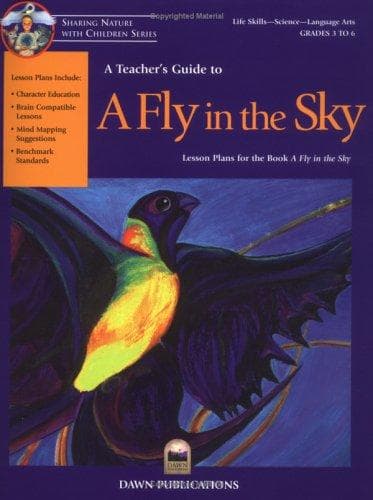 Tapa de A Fly in the Sky