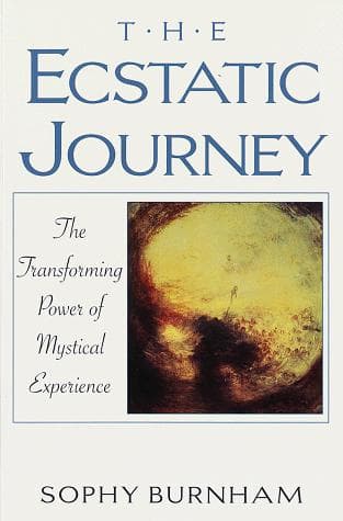 Tapa de The ecstatic journey