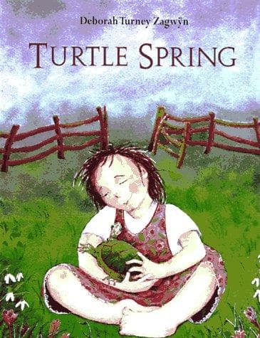 Tapa de Turtle spring