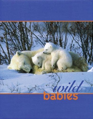 Tapa de Wild Babies