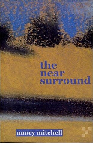 Tapa de The Near Surround
