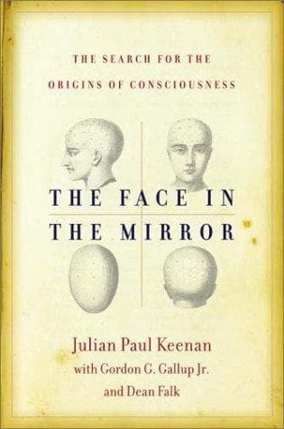 Tapa de The face in the mirror