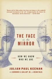 Tapa de The face in the mirror
