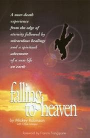Tapa de Falling to Heaven