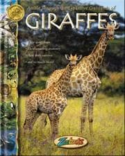 Tapa de Amble Through the Expansive Grasslands of Giraffes