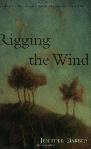 Tapa de Rigging the Wind