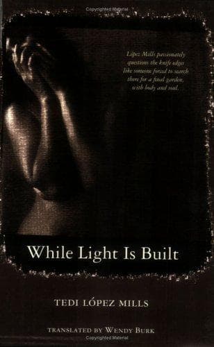 Tapa de While Light is Built