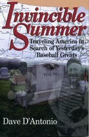 Tapa de Invincible summer
